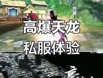 天龙私服：独特魅力、经济考量及玩法体验的多面剖析